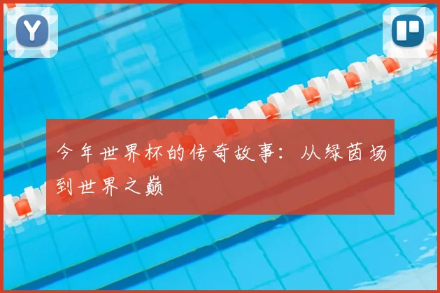 今年世界杯的传奇故事:从绿茵场到世界之巅