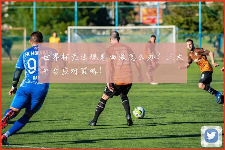 世界杯无法观看回放怎么办？三大平台应对策略！