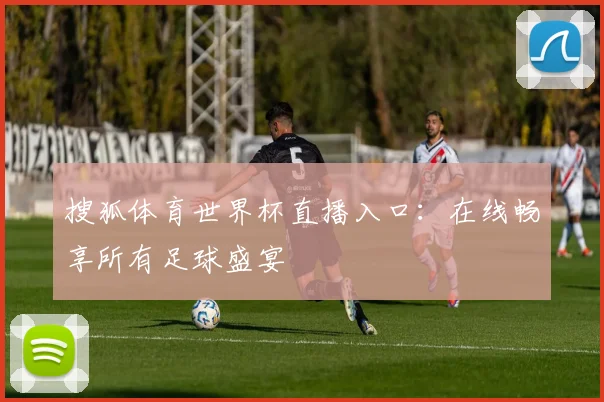 搜狐体育世界杯直播入口：在线畅享所有足球盛宴
