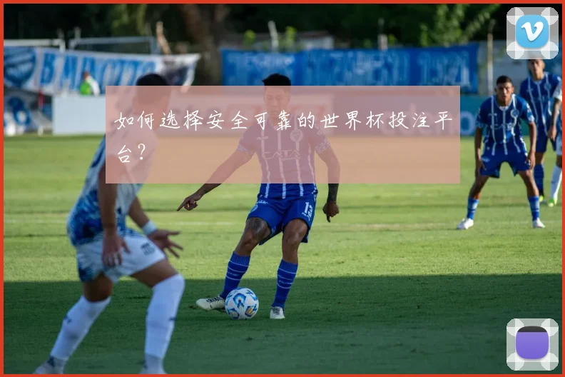 如何选择安全可靠的世界杯投注平台？